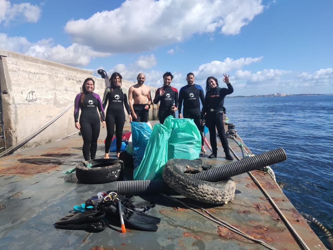 Protecting seagrass meadows pic1